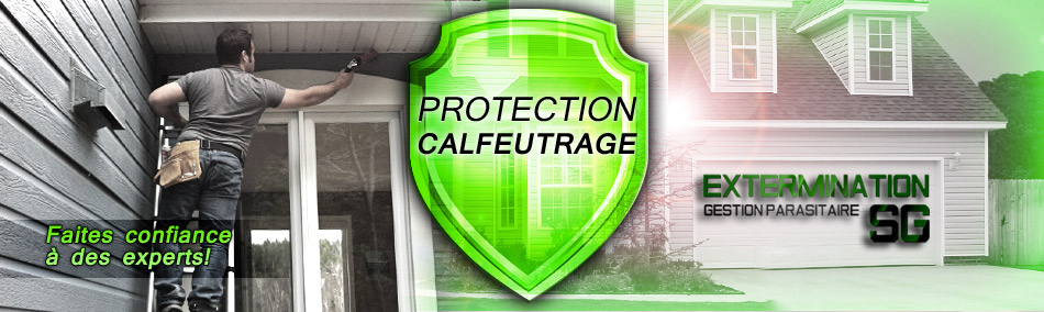 Exterminateur et Calfeutrage et protection de maison