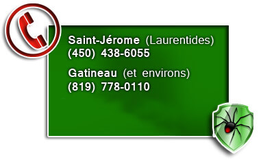 Saint-Jerome, Gatineau, Laurentide et outaouais saint-Jérome, GAtineau, laurentides et outaouais